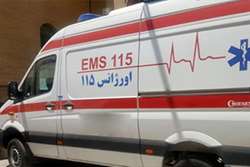 نجات جان مادر باردار و نوزادان دوقلو توسط مامای تسهیلات در یک عملیات امدادی در شهرستان صیدون