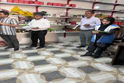گشت مشترک بهداشتی با حضور نمایندگان ادارات ذیربط در شهرستان صیدون